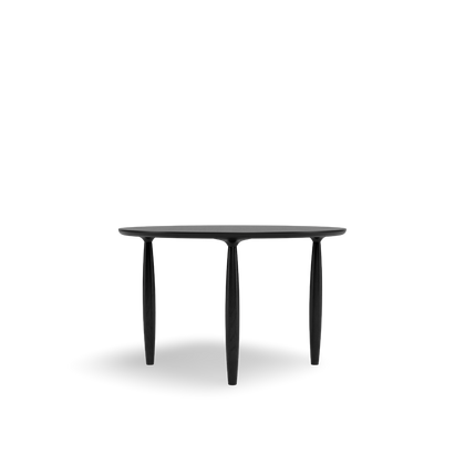 Black Oak