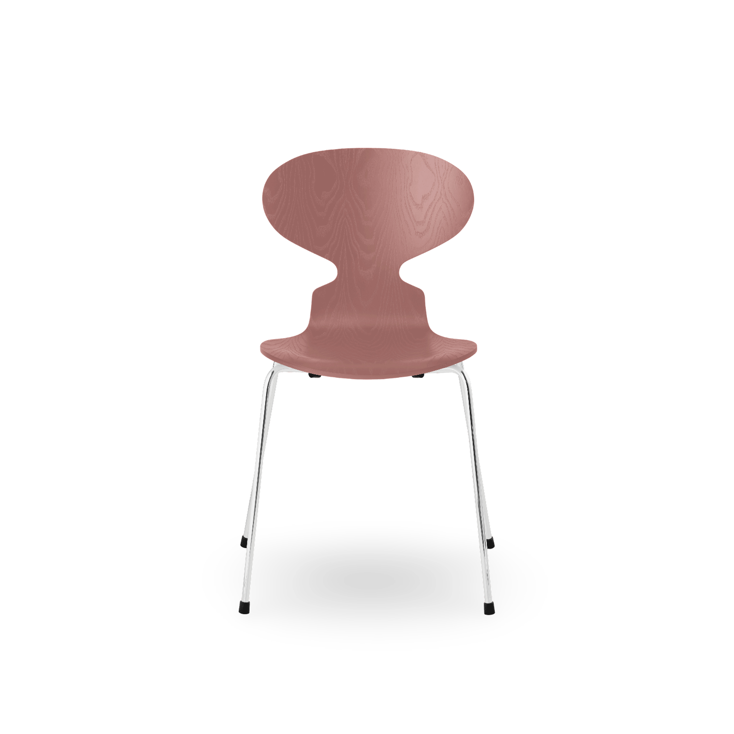 Silla Ant