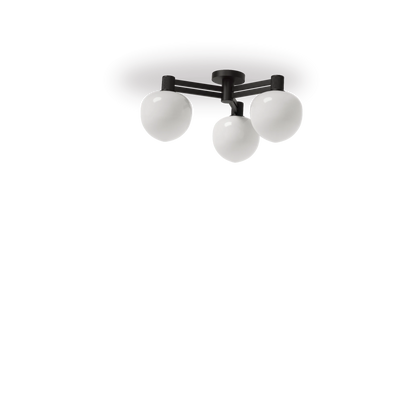 Negro