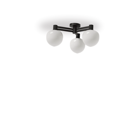 Negro