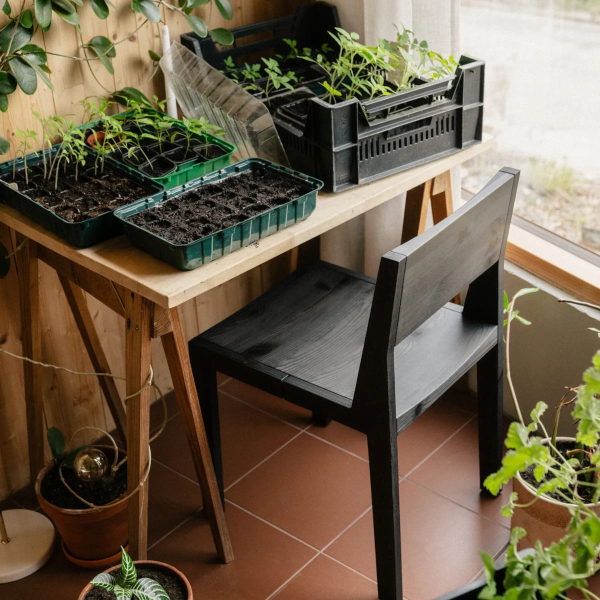 Silla de comedor Maasto 016